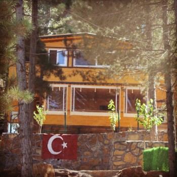 Vural Orman Ürünleri - Toptan ve Perakende Satış - Ahşaba Dair Herşey