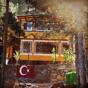 Vural Orman Ürünleri - Toptan ve Perakende Satış - Ahşaba Dair Herşey