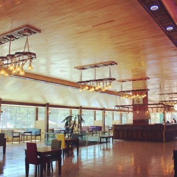 Vural Orman Ürünleri - Toptan ve Perakende Satış - Ahşaba Dair Herşey