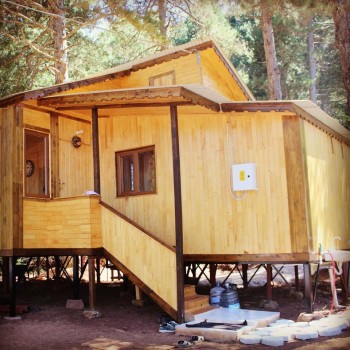 Vural Orman Ürünleri - Toptan ve Perakende Satış - Ahşaba Dair Herşey