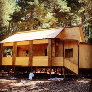 Vural Orman Ürünleri - Toptan ve Perakende Satış - Ahşaba Dair Herşey