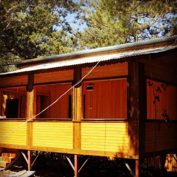 Vural Orman Ürünleri - Toptan ve Perakende Satış - Ahşaba Dair Herşey