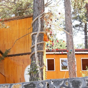 Vural Orman Ürünleri - Toptan ve Perakende Satış - Ahşaba Dair Herşey