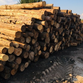 Vural Orman Ürünleri - Toptan ve Perakende Satış - Ahşaba Dair Herşey