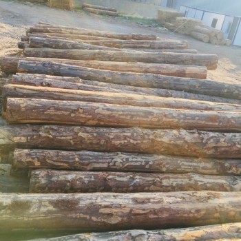 Vural Orman Ürünleri - Toptan ve Perakende Satış - Ahşaba Dair Herşey