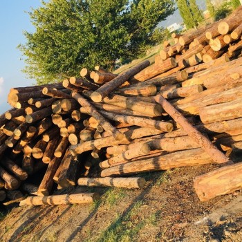 Vural Orman Ürünleri - Toptan ve Perakende Satış - Ahşaba Dair Herşey