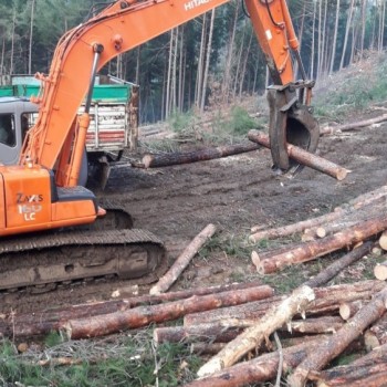 Vural Orman Ürünleri - Toptan ve Perakende Satış - Ahşaba Dair Herşey