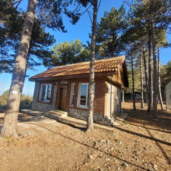 Vural Orman Ürünleri - Toptan ve Perakende Satış - Ahşaba Dair Herşey