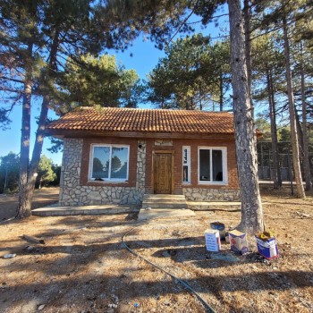 Vural Orman Ürünleri - Toptan ve Perakende Satış - Ahşaba Dair Herşey