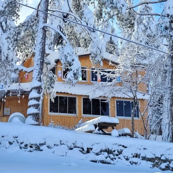 Vural Orman Ürünleri - Toptan ve Perakende Satış - Ahşaba Dair Herşey